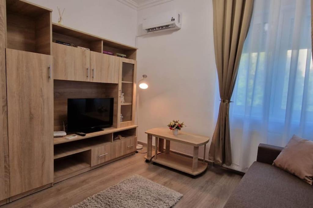 Little And Cozy Studio Breakfast Included Timişoara Exterior foto